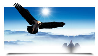Ҹ۾W(wng)վO(sh)Ӌ-糿O(sh)ӋעI(y)W(wng)վO(sh)